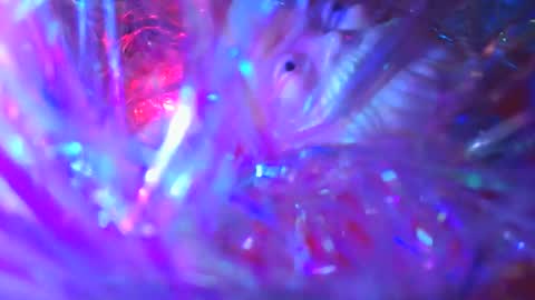 iamhereandnow online show from December 19, 2:07 am