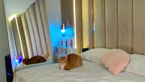 Snapshot of iamnyxy_ chatting on November 11, 9:09 am Nyxy online show from November 11, 9:09 am