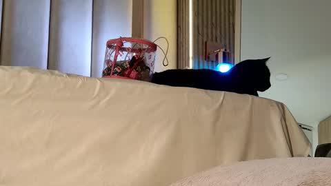 Snapshot of iamnyxy_ chatting on November 20, 10:04 am Nyxy online show from November 20, 10:04 am