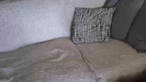 SnowTiger online show from February 19, 11:17 am