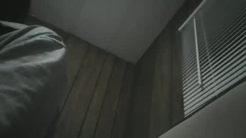 Snapshot of igasu chatting on November 27, 4:47 am igasu online show from November 27, 4:47 am