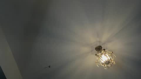 Igor scott online show from February 16, 4:42 am