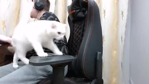 lord online show from November 7, 1:44 pm