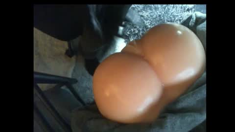 Snapshot of ilikesexyladys chatting on March 9, 11:25 pm ilikesexyLadys online show from March 9, 11:25 pm