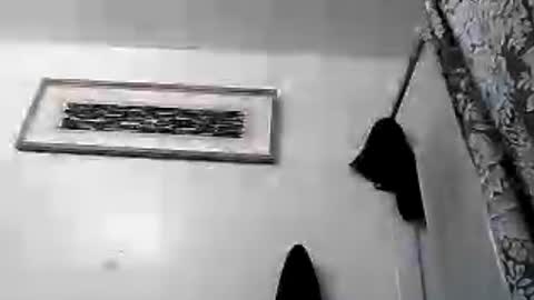 imhandy2 online show from August 8, 2:57 am