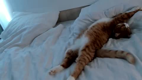 my name Imo  Fansly  online show from February 20, 9:00 am