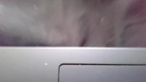 imstillstrokin online show from October 22, 7:35 pm