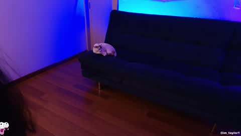 Snapshot of imtaylor__ chatting on October 24, 1:03 am TAYLOR online show from October 24, 1:03 am