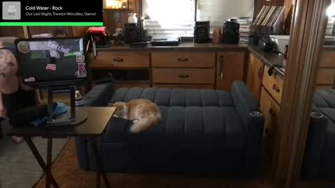 Carter online show from October 10, 3:49 am