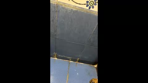 Snapshot of indianboy8940 chatting on April 3, 11:19 am Indianboy online show from April 3, 11:19 am