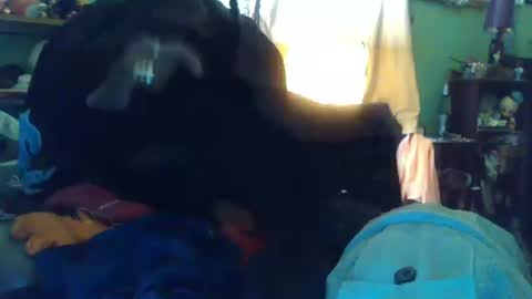 Snapshot of indigo_scorpio chatting on October 13, 10:10 pm indigo_scorpio online show from October 13, 10:10 pm