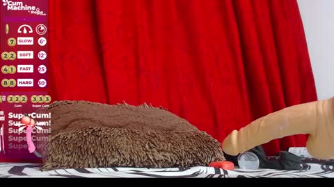 Indi  online show from December 20, 12:41 am