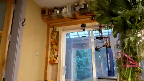 sir. Grummps online show from February 14, 12:18 am