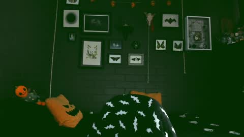   SANIA  online show from December 2, 5:26 pm