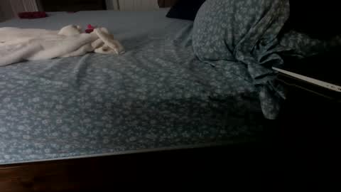 InsatiableCpl333 online show from January 23, 2:07 pm