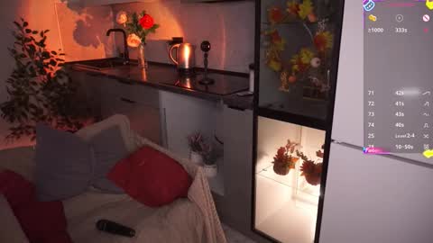 Irena Barr online show from November 13, 5:45 pm