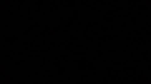 iridisit online show from January 12, 4:07 am