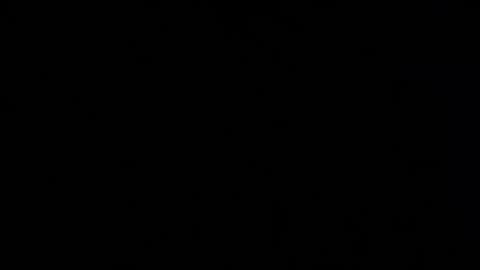 iridisit online show from April 12, 8:41 am