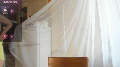 Iris online show from November 12, 8:04 am