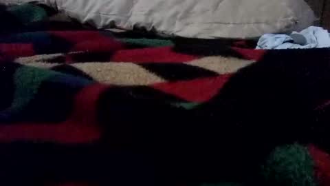 Snapshot of irishmikey87 chatting on March 27, 8:26 am McDick online show from March 27, 8:26 am