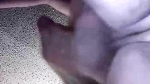 Snapshot of irishmikey87 chatting on March 30, 5:41 am McDick online show from March 30, 5:41 am