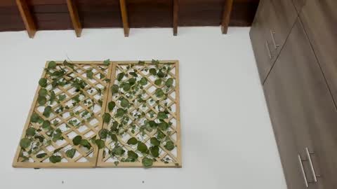 Snapshot of isabella_sweett_ chatting on February 13, 10:22 pm Isabella online show from February 13, 10:22 pm