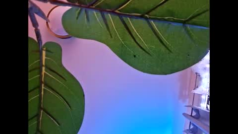 Snapshot of isabellacloverlove chatting on October 23, 5:51 am Isabella online show from October 23, 5:51 am