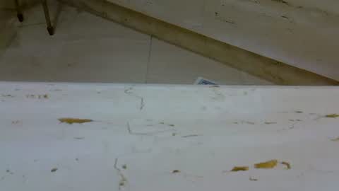 isd1969 online show from January 7, 2:41 pm