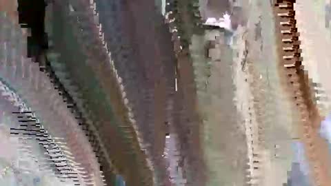 Snapshot of islandbey242 chatting on June 2, 3:14 pm islandbey242 online show from June 2, 3:14 pm