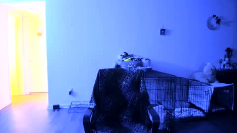 Bella Bloom online show from July 25, 7:06 am