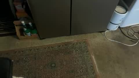 Snapshot of italiano9in chatting on November 3, 3:24 pm Tony online show from November 3, 3:24 pm