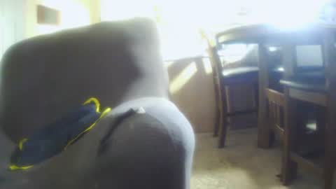 Snapshot of italythick chatting on July 12, 12:56 am italythick online show from July 12, 12:56 am