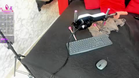 Ivis  online show from December 19, 12:34 pm