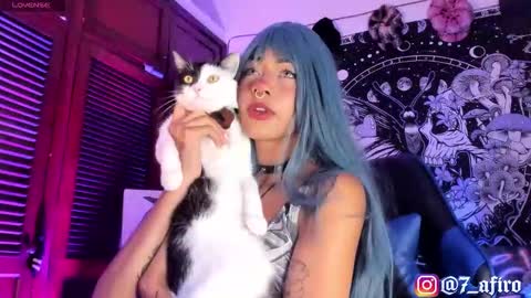   -    online show from February 12, 11:55 pm