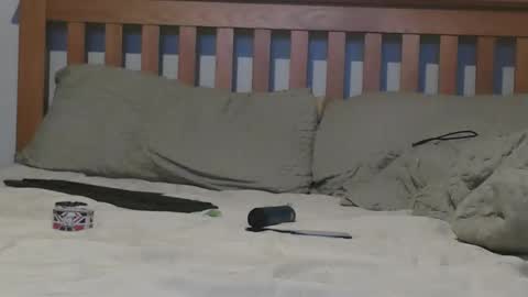 Snapshot of j281133 chatting on November 4, 2:16 pm Big 8 online show from November 4, 2:16 pm