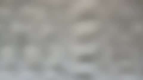 Snapshot of j727551 chatting on February 15, 7:28 pm j727551 online show from February 15, 7:28 pm