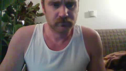 TR88 online show from February 16, 12:43 pm