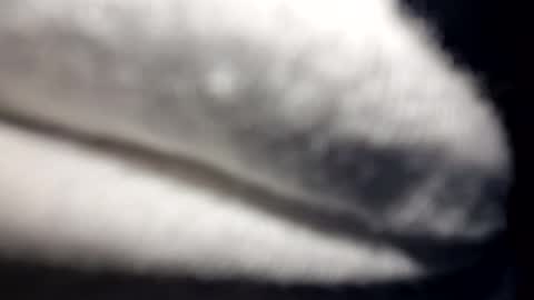 jack5ddddd online show from March 26, 12:00 pm