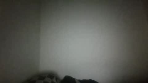 jack online show from February 15, 4:47 am