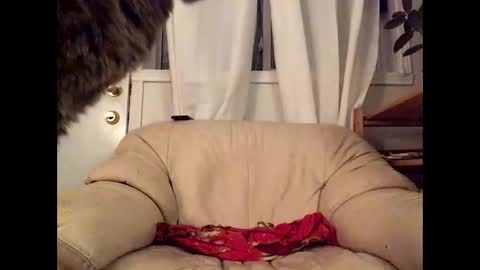 Jacob online show from March 17, 12:37 am