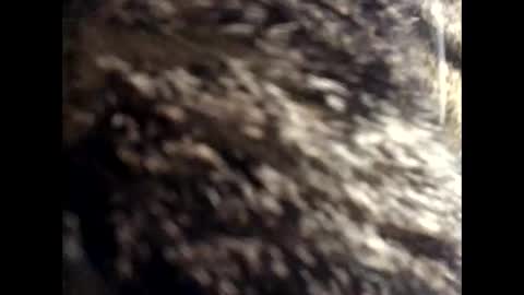 Jacob online show from March 24, 12:43 pm