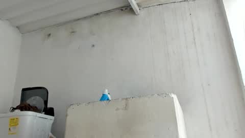 Jade Smith online show from October 24, 5:53 pm