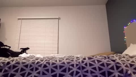 jaidenblake online show from December 2, 9:45 am