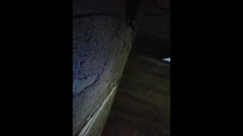 Snapshot of jaimepasivo777 chatting on May 16, 7:27 am jaimepasivo777 online show from May 16, 7:27 am
