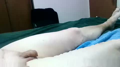 Jaks online show from January 26, 9:29 pm