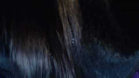 jalea_real_69 online show from July 19, 6:50 am