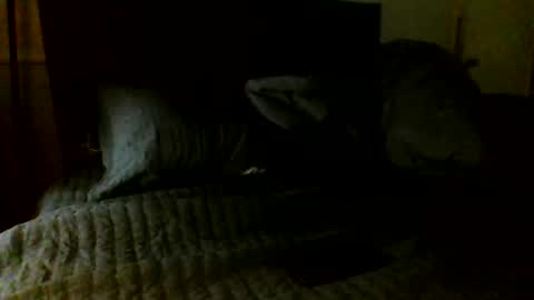 Jamacian online show from November 7, 5:07 am