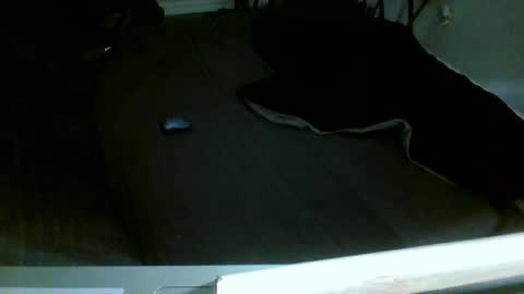 Jamacian online show from December 14, 8:13 pm