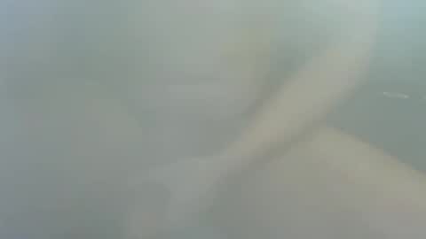 James2377  online show from December 22, 2:25 pm