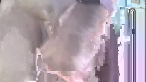 Snapshot of jamesbond007322393 chatting on September 21, 4:52 pm jack online show from September 21, 4:52 pm